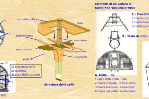 Elementi di collegamento degli alberi